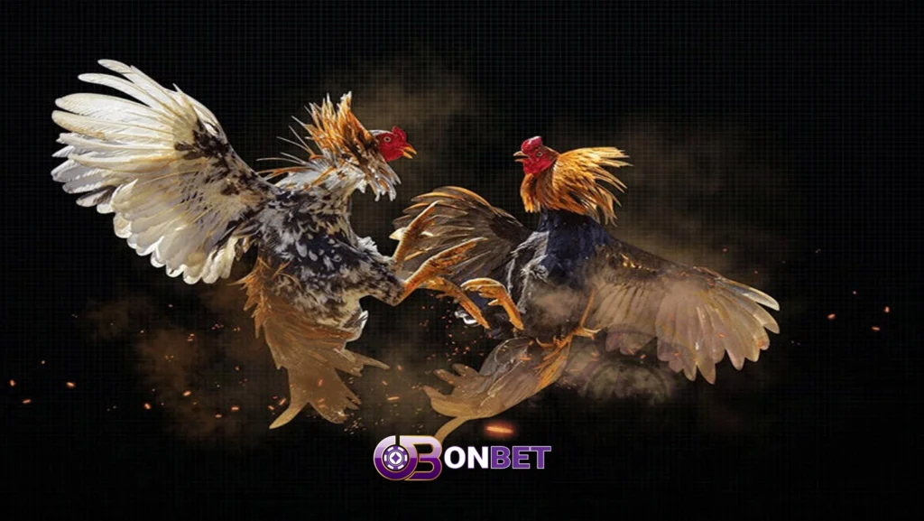 Mẹo Chơi Đá Gà Tại Onbet: Bí Quyết Chiến Thắng Từ Cao Thủ