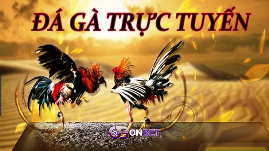 Đá gà trực tuyến