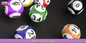 Bạch Thủ Lô Là Gì? Mẹo Đánh 1 Số Hiệu Quả Cho Người Mới