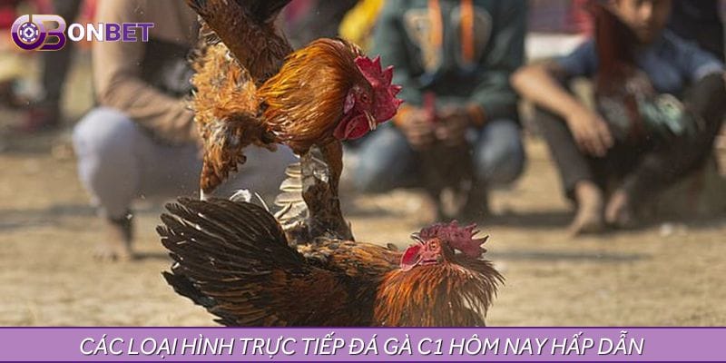 Những loại cược phổ biến tại Trực tiếp đá gà C1 hôm nay 