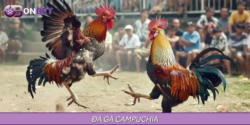 Đá Gà Campuchia - Cuộc Chiến Khốc Liệt, Quyết Định Từng Phút