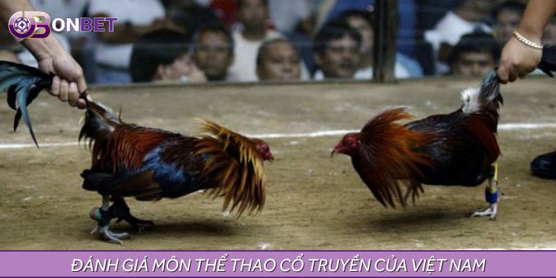 Đánh giá môn thể thao cổ truyền của Việt Nam