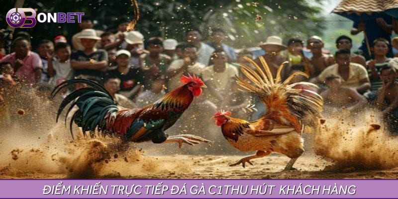 Ưu điểm khiến trực tiếp đá gà C1 hôm nay thu hút khách hàng