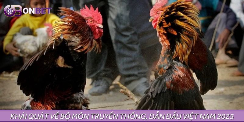 Khái quát về bộ môn truyền thống, dẫn đầu Việt Nam 2025
