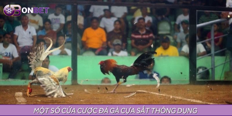 Một số cửa cược đá gà cựa sắt thông dụng 