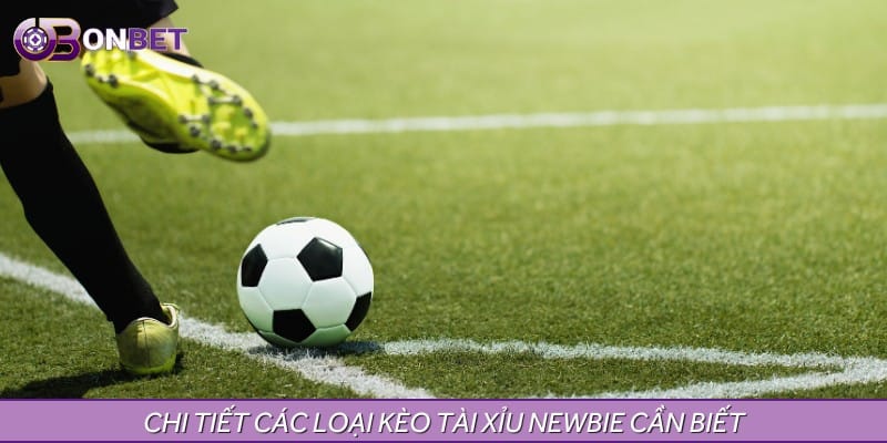 Chi tiết các loại kèo tài xỉu Newbie cần biết