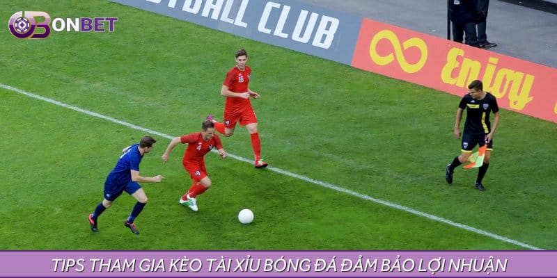 Tips tham gia kèo tài xỉu bóng đá đảm bảo lợi nhuận